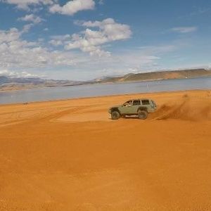 Meet your Posher, Riley